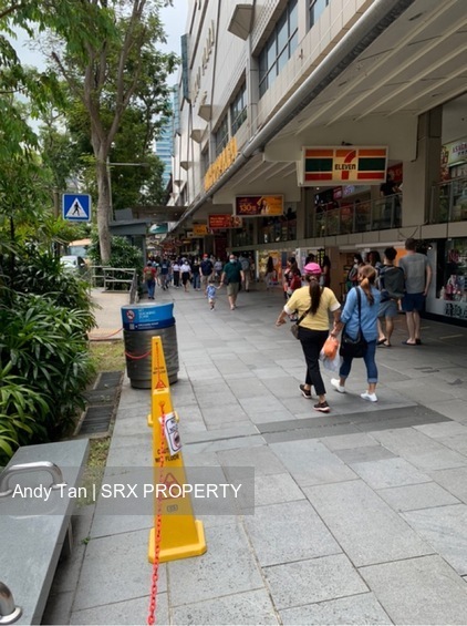 Lucky Plaza (D15), Retail #540546751